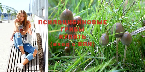 спайс Новозыбков