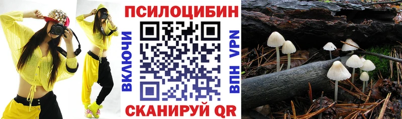 KRAKEN tor  Камбарка  Галлюциногенные грибы ЛСД 